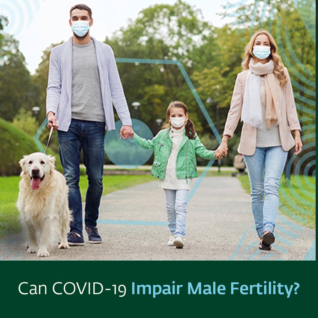 Male-Fertility